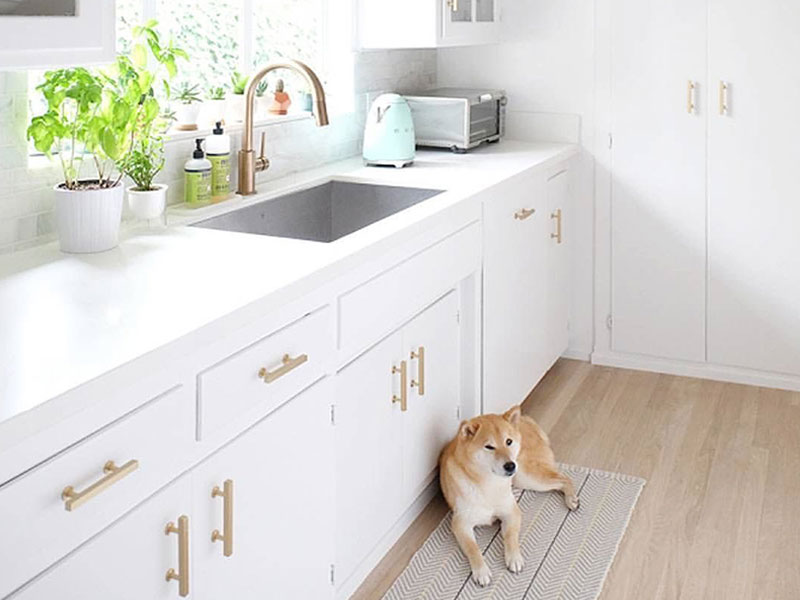 dog in front of white cabinets with Emtek pulls